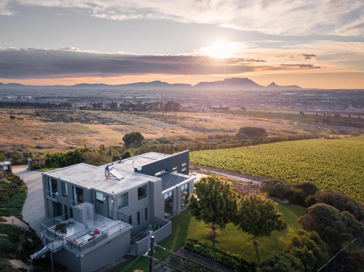 Stellar Guest On Stunning Wine Farm *